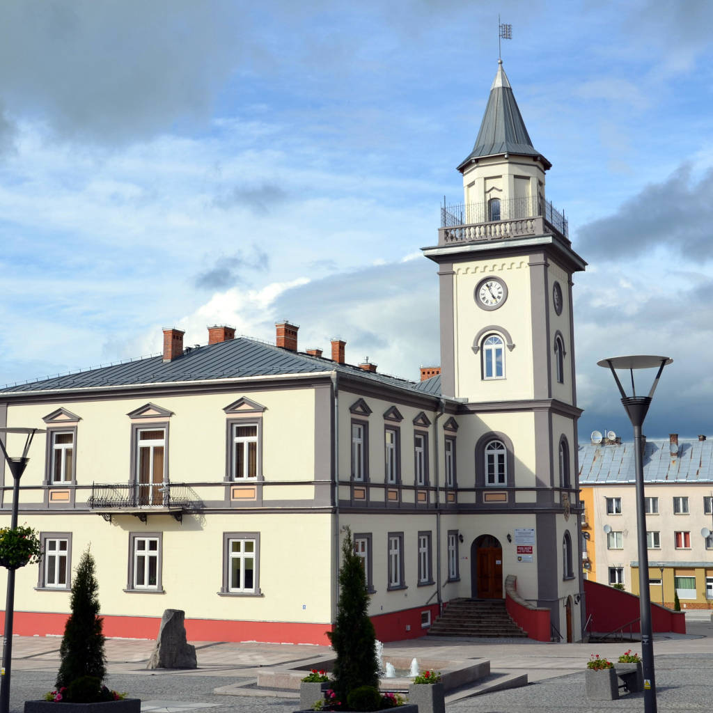 Strony internetowe Brzozów – rynek miasta