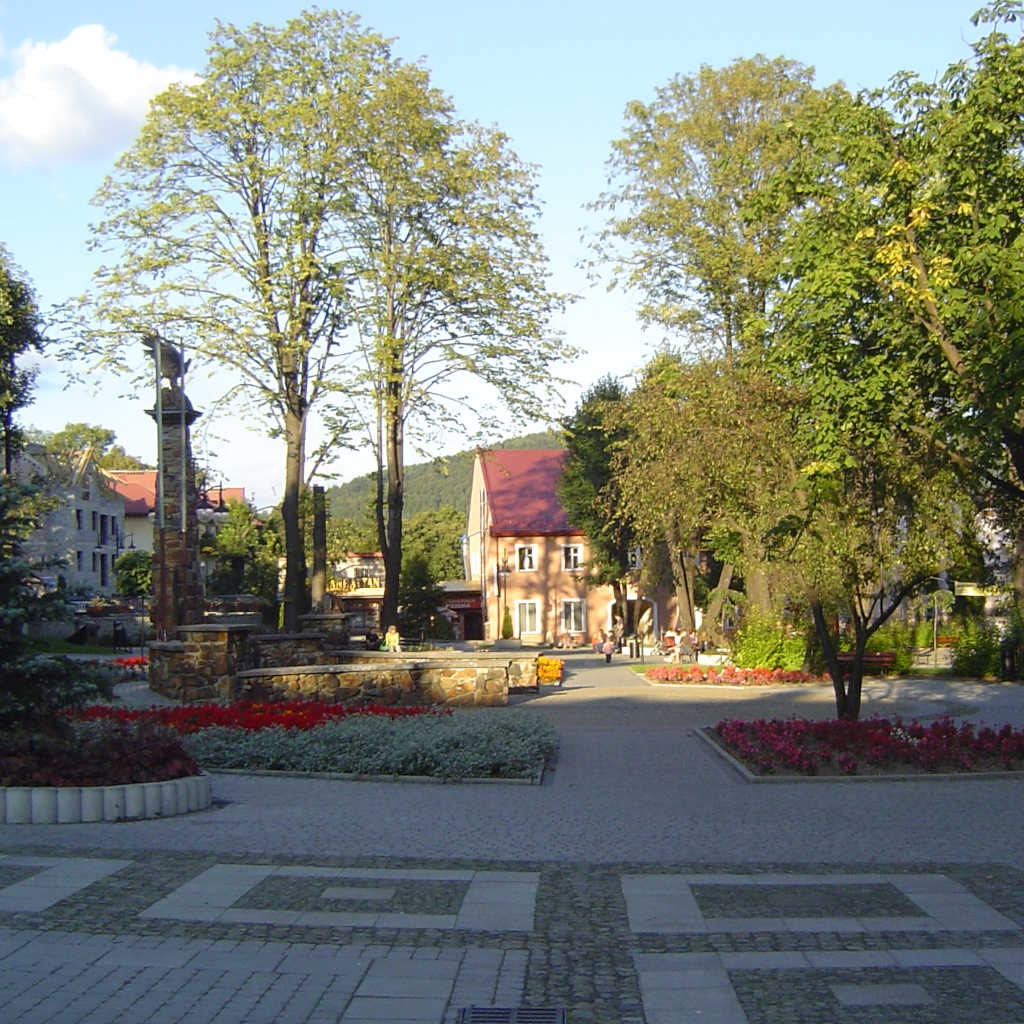 ustrzyki-dolne-rynek-strony-internetowe